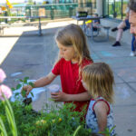 Jill's Junior Gardeners: Growing Trees