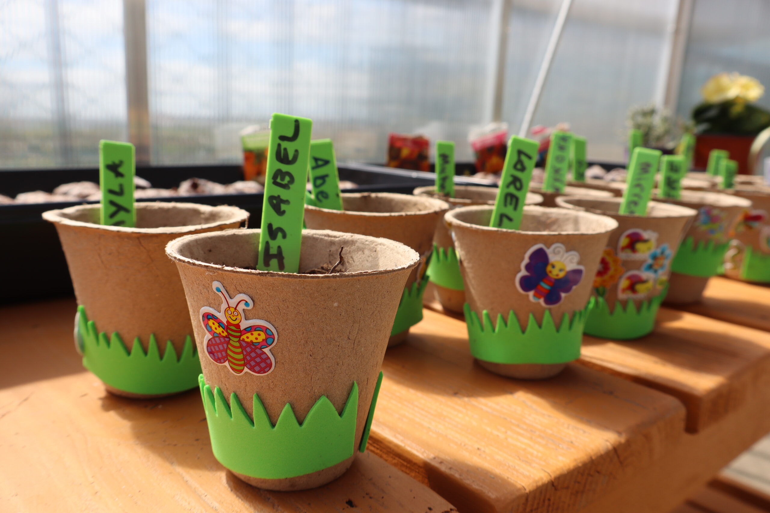 Jill's Junior Gardeners: Pumpkin Picking