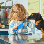 Cuddle Clinic: Pet Vet Takeover