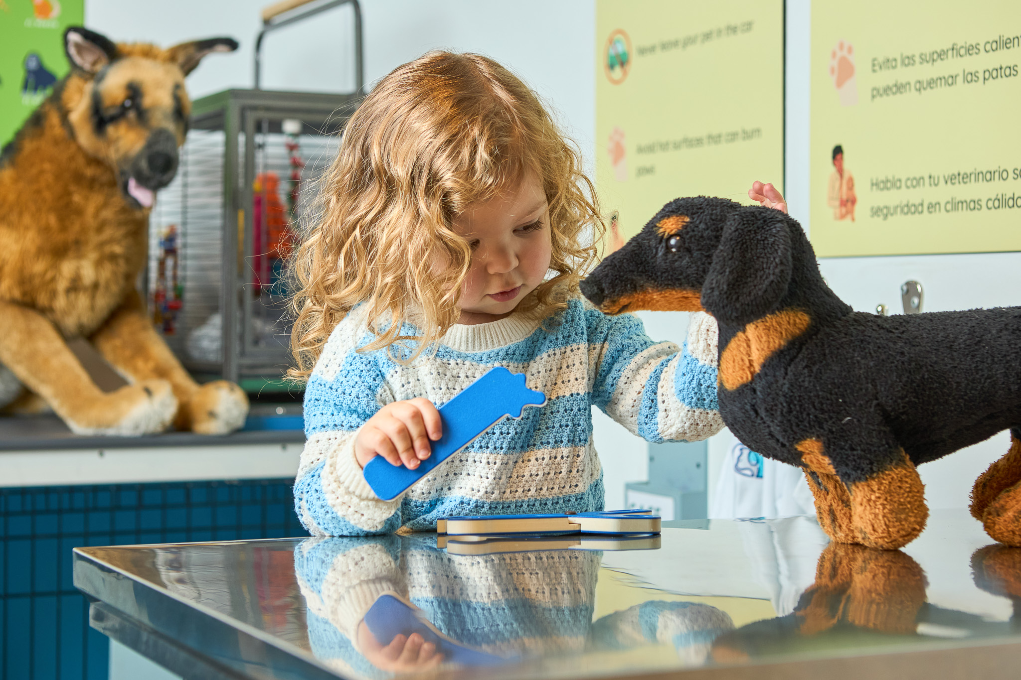 Cuddle Clinic: Pet Vet Takeover